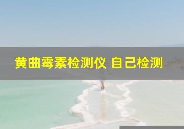 黄曲霉素检测仪 自己检测